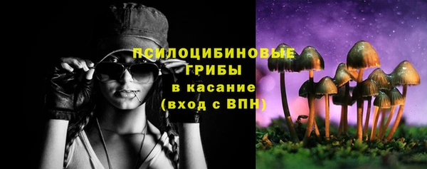 дурь Алексин