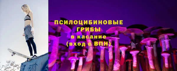дурь Алексин