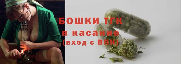 дурь Алексин